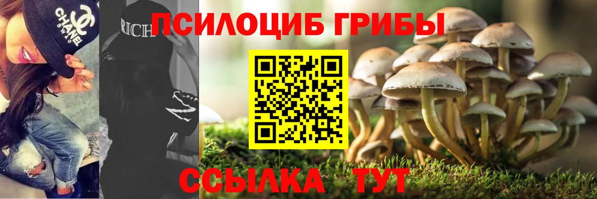 Галлюциногенные грибы мицелий Ишим